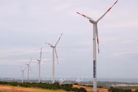 Obstacles should be removed to facilitate offshore wind power development: Experts