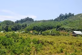 ADB-funded project helps set up biodiversity corridors in central region