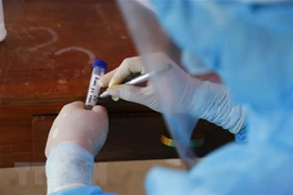 Vietnam records 7,334 new COVID-19 cases on August 7