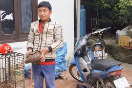 Wildlife traffickers arrested in northern Dien Bien province