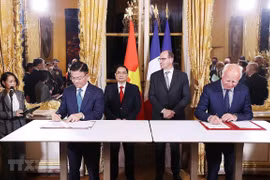 Prime Minister attends Vietnam-France business forum
