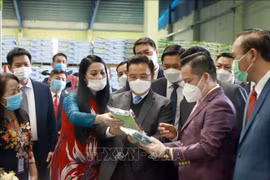 Lao parliament delegation visit Vinh Phuc province