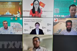 Vietnamese, Singaporean firms tap FTAs with EU, UK to expand cooperation 