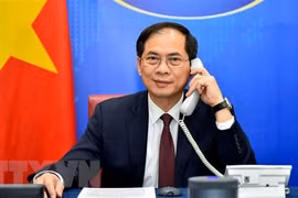 Vietnam treasures comprehensive strategic partnership with Russia