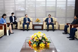 Da Nang city plans to host annual Vietnam-RoK festival
