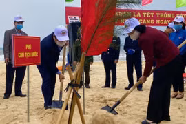 Vice President joins tree-planting festival in Quang Binh