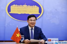 Overseas Vietnamese present donations to COVID-19 fight