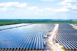 Renewable energy companies thrive on rising demand