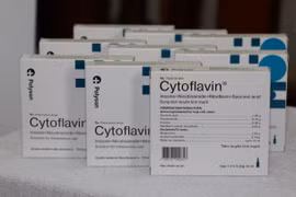 Russian company offers HCM City drugs for COVID-19 treatment