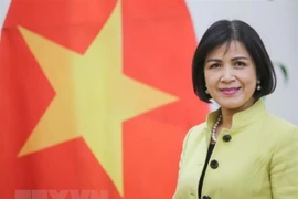 Vietnam supports South Centre’s role in promoting cooperation between developing countries