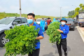 Hanoi’s youths join hands to fight pandemic