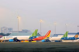 Support for domestic carriers should be fair: experts