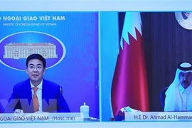 Vietnam, Qatar hold great cooperation potential