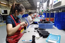 FDI in Dong Nai hits 670 mln USD since beginning of year