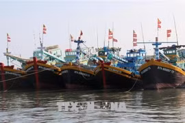 Ben Tre tightens handling of illegal fishing