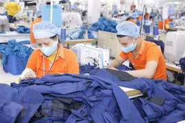Insiders put trust in Vietnam’s economic recovery