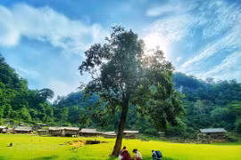 Vietnam makes its name well-known in world tourism map