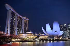 Singapore approves 8.2 billion USD for COVID-19 response
