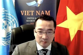 Vietnam calls for unity of int’l community in supporting Syria