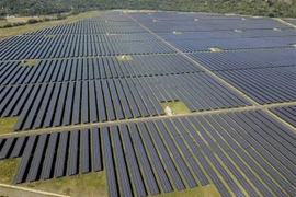 Vietnam among top three leading nations in renewable energy shift in Asia Pacific