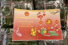 Vietnamese across the world celebrate traditional Lunar New Year