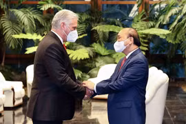 Cuba never feels alone thanks to solidarity with Vietnam: Top leader