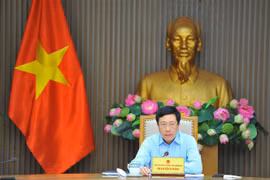 Deputy PM urges acceleration of projects in localities least-impacted by COVID-19