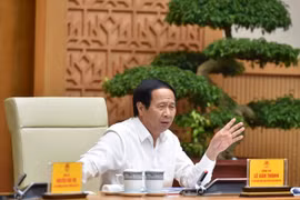 Deputy PM assigns deadline for site clearance at Long Thanh Int’l Airport project