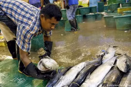 Thailand: Migrant workers get pandemic aid from businesses 