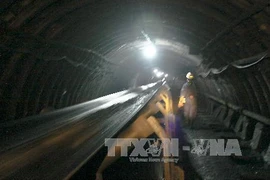 Vinacomin to cut 2021 coal imports to 1.4 million tonnes