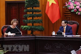 PM Pham Minh Chinh hosts Dutch Ambassador to Vietnam