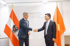 Vietnam, Austria eye cooperation in renewable energy development