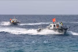 Vietnam calls for respect for peaceful settlement of international disputes
