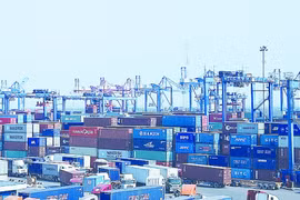 Drastic measures applied to ensure fast customs clearance amid COVID-19