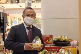 Vietnamese bananas gain a foothold in Japanese market