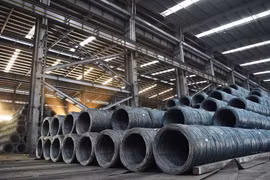 Hoa Phat posts highest crude steel output to date in January