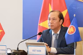 Vietnam attends ASEAN SOM, ExCom SEANWFZ’s meeting 