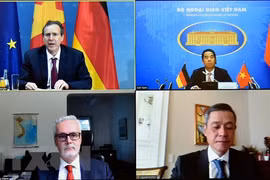 Vietnam-Germany strategic partnership flourishing in various areas: diplomats