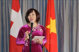 Webinar on Vietnamese market held in Switzerland