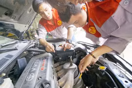 Vocational schools to add new subjects, increase enrolment targets