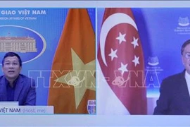 Vietnamese, Singaporean diplomats hold online talks