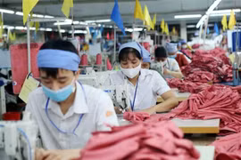 Up to 420,000 C/O certificates for exports to FTA-benefited markets