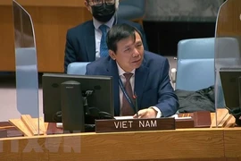 Vietnam emphasises international efforts for cyber conflict prevention: ambassador
