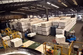 Binh Duong posts 6.8 billion USD in trade surplus