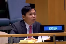 Vietnam urges int’l community to work with ASEAN in Myanmar issue
