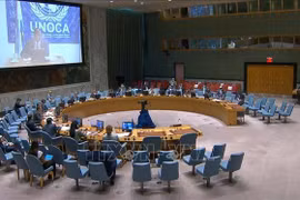Vietnam calls for more dialogues to solve challenges in Central Africa