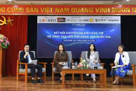 Vietnam wishes to better engage expats in developing innovation ecosystem