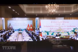 Vietnam prioritises special solidarity with Laos: official