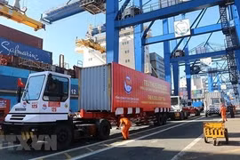 Impressive reversal seen in import-export activities in 2021
