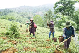 CARE International helps ethnic minorities in Ha Giang